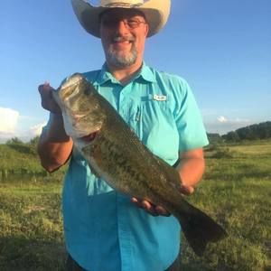 Meet your Posher, Darrell